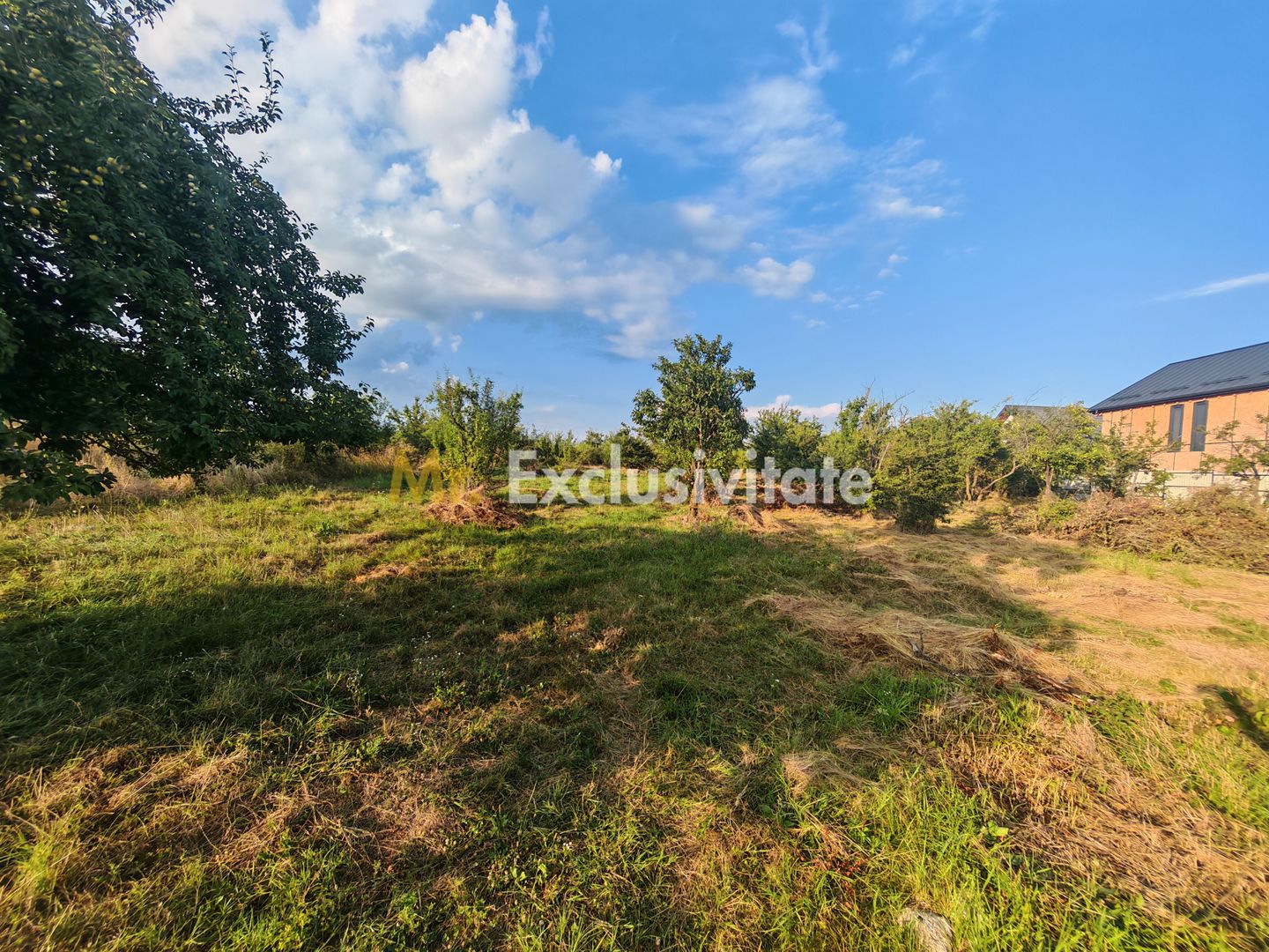 Teren intravilan 1.600 mp Mioveni – Zona Pruni - imaginea 6