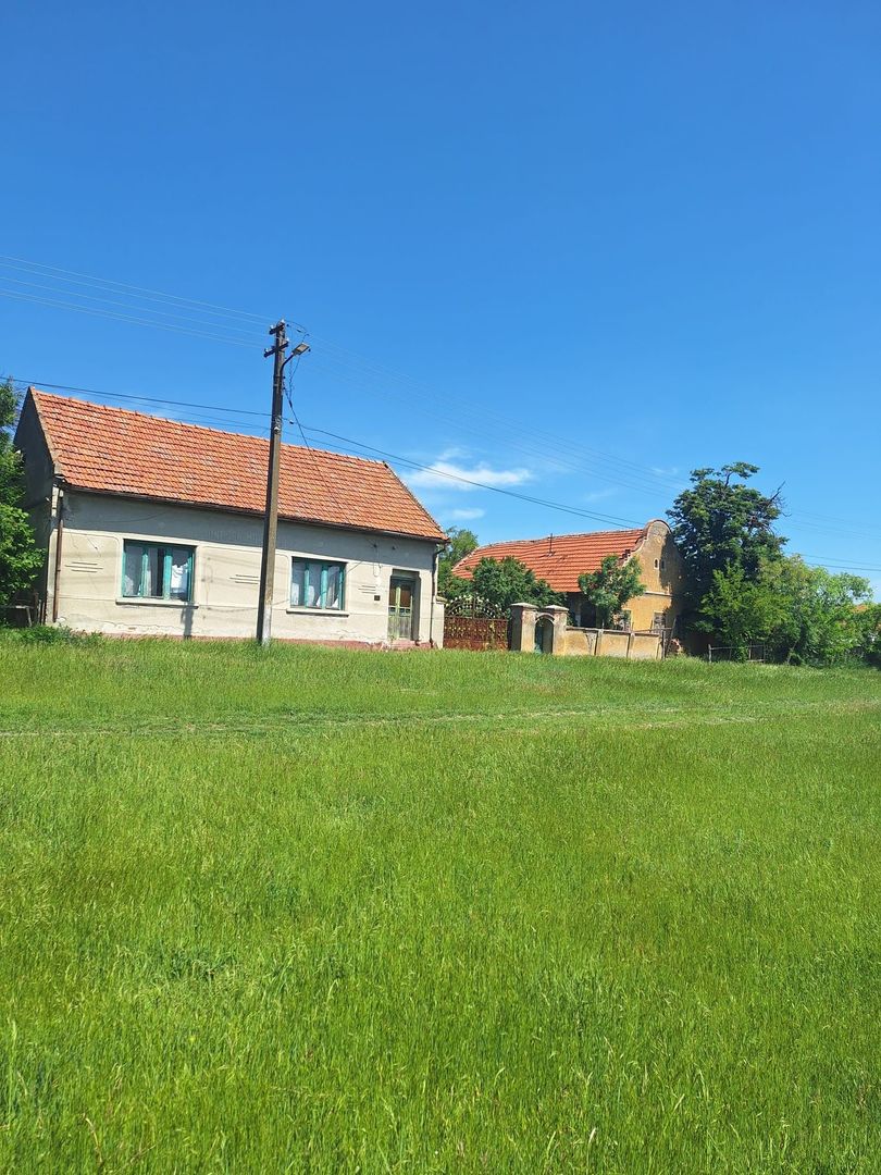 Teren vanzare-8000 m2-Cheveresu Mare -100 m front stradal - imaginea 3