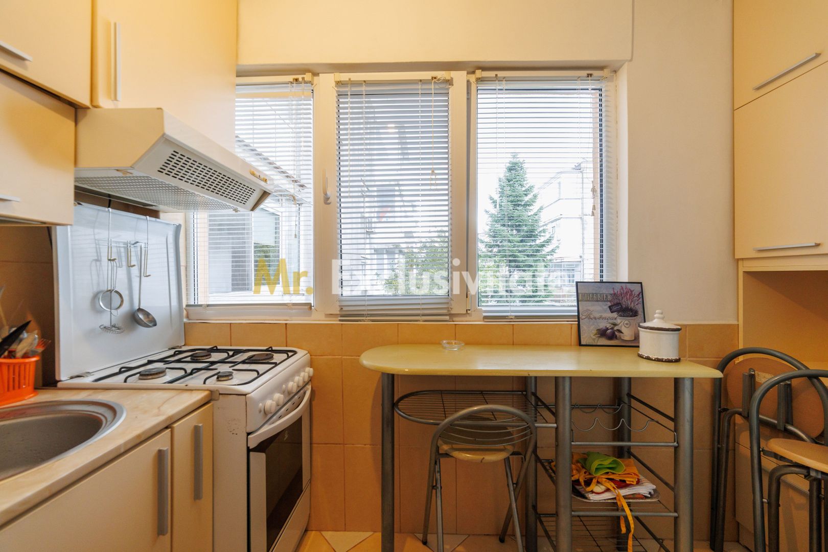 Apartament de inchiriat in Exercitiu etaj 2 - imaginea 4