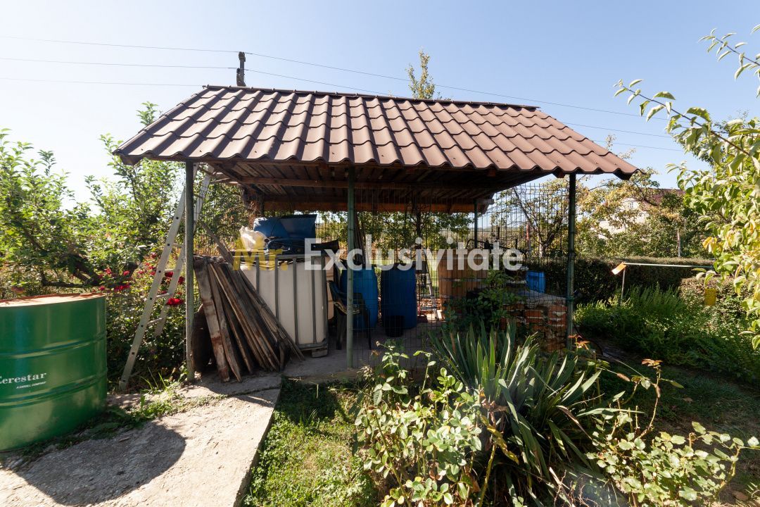 Casa visurilor cu 4000 mp livada roditoare si gradina Darmanesti-Arges - imaginea 26