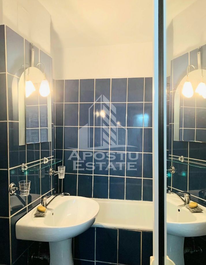 Apartament cu 2 camere si living la parter Calea Lipovei - imaginea 6