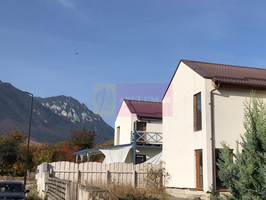 Vila la rosu Zarnesti- Mitropolit Metianu cu vedere superba spre munte