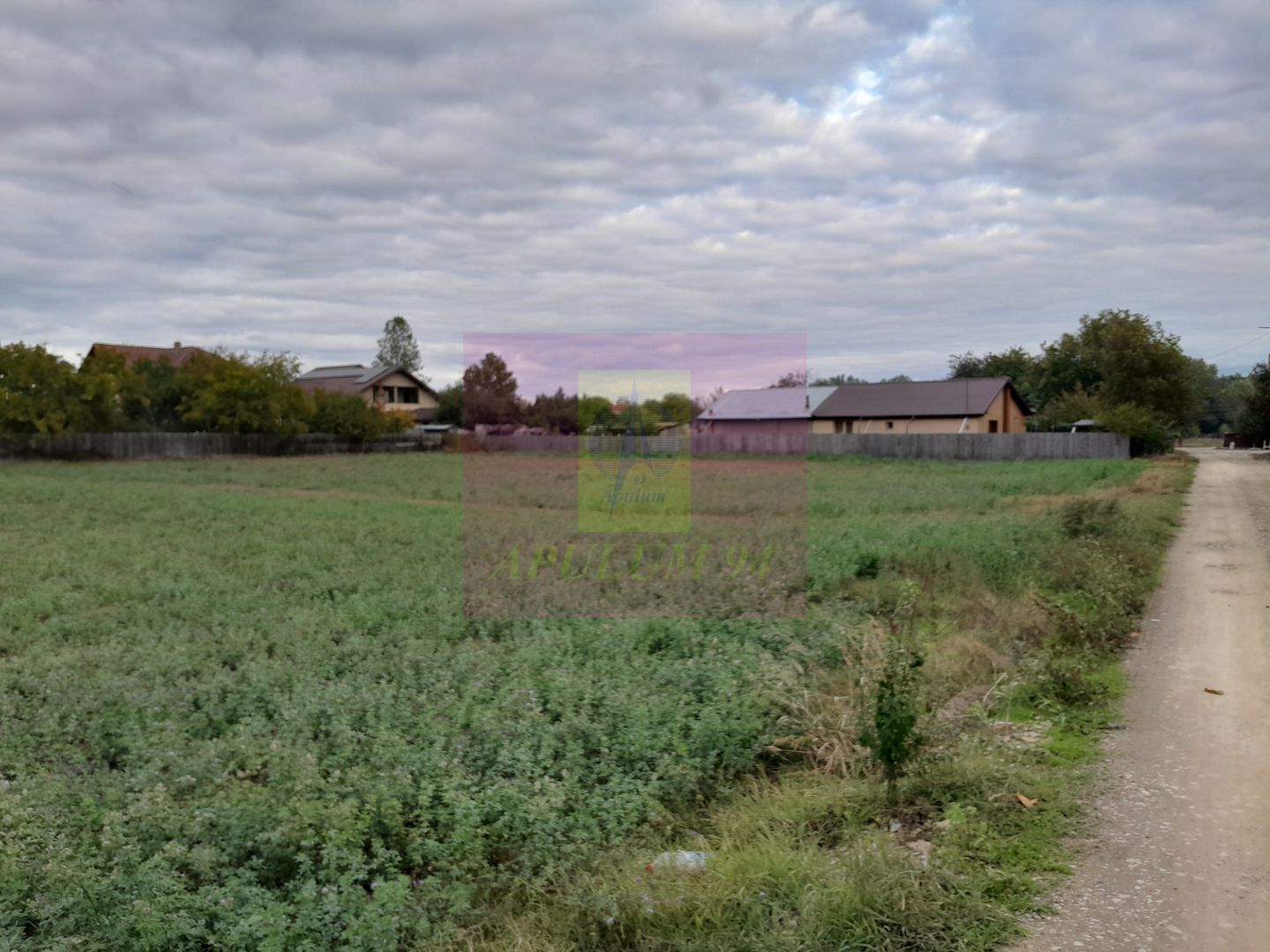 COSERENI (IL) - SE VINDE TEREN 2000 MP LA SOS BUCURESTI -URZICENI - imaginea 9
