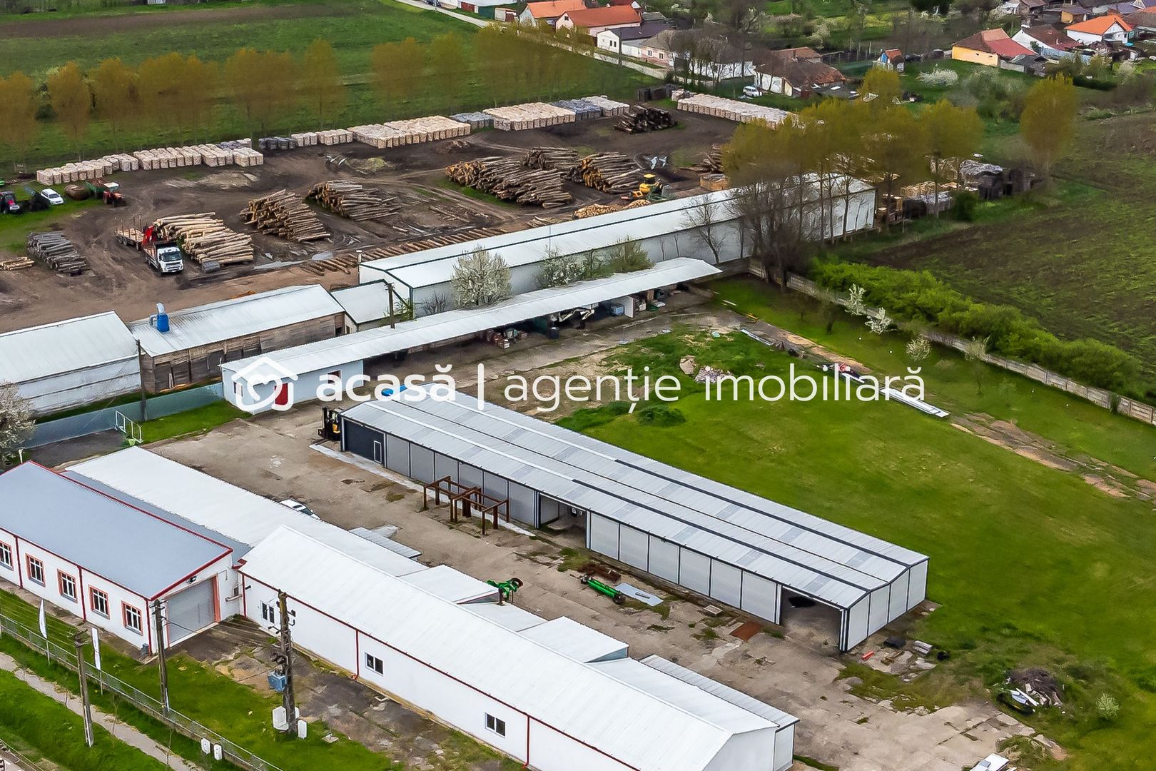 Imagine 2 - Hale depozitare/producție 2.000 mp si 10.000 mp teren în Pecica