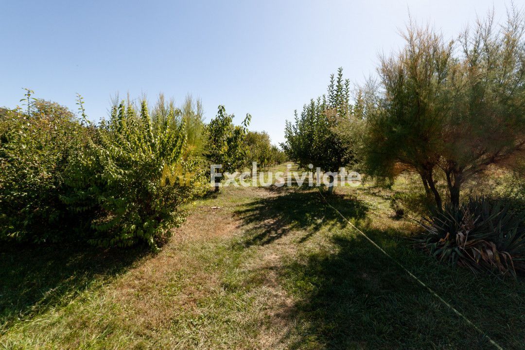 Casa visurilor cu 4000 mp livada roditoare si gradina Darmanesti-Arges - imaginea 6