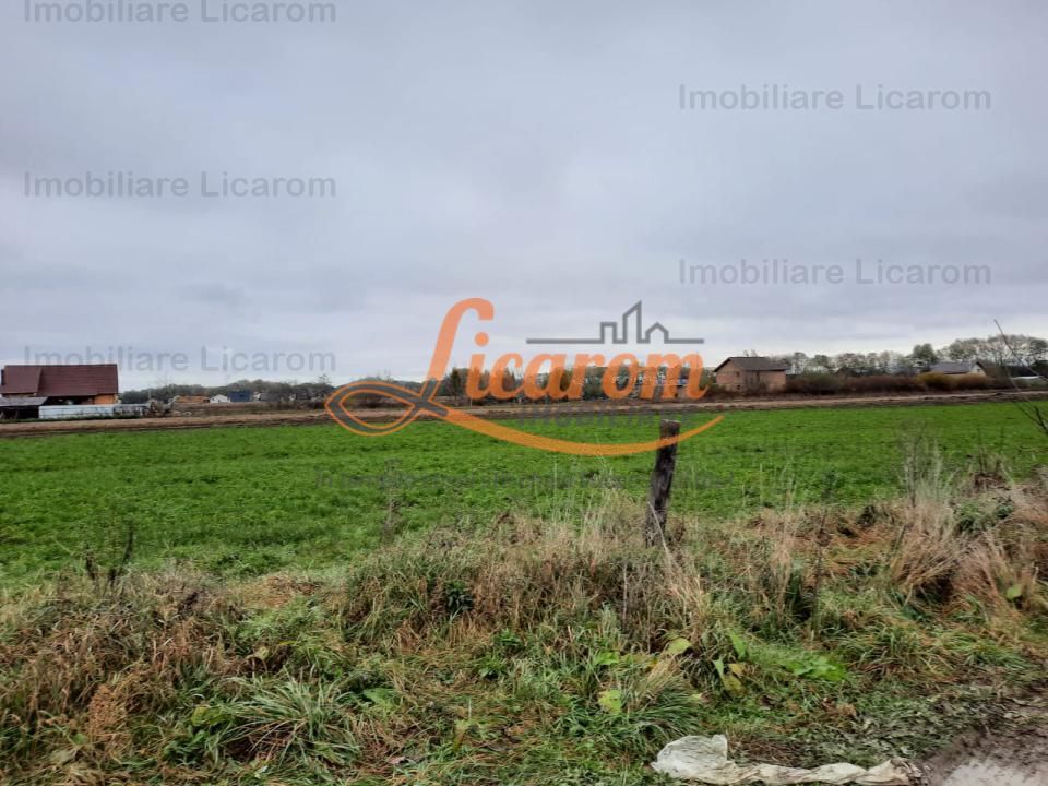 Teren intravilan Stupini ,Central, 823mp,Utilitati,83000 eur - imaginea 8