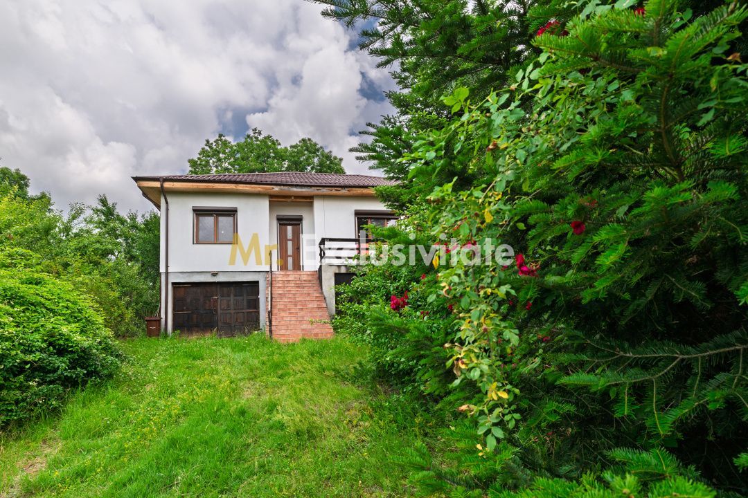 Casa moderna si casa bunicii + 6300 mp teren,Oaza autentica in Corbi Arges- - imaginea 3