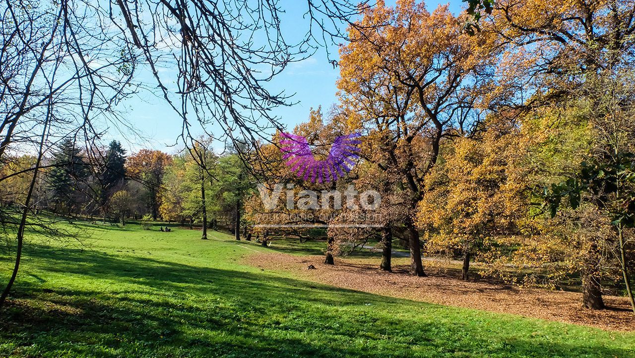 Apartament 2 camere | Pet Friendly | Doamna Stanca | Selimbar