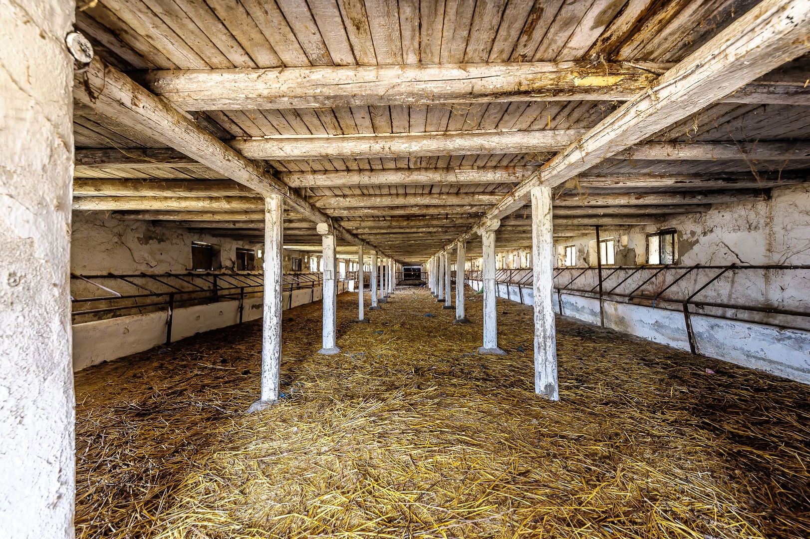 Imagine 4 - Fermă Mândruloc 2,5 ha