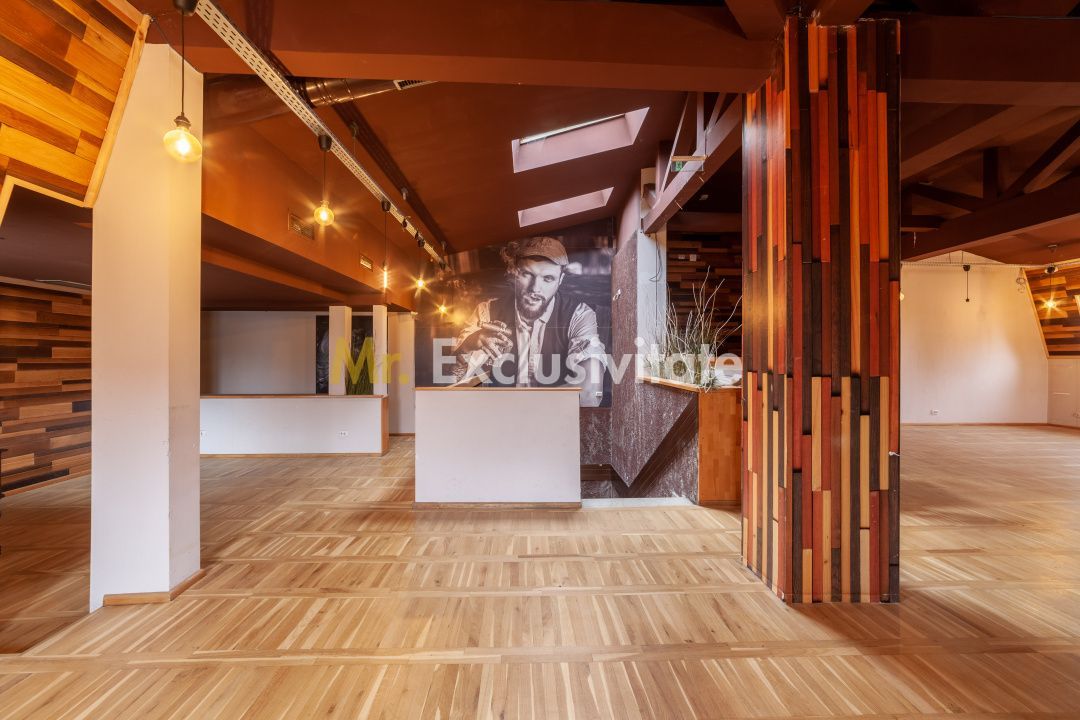 Spatiu comercial premium in vila – Bd. Republicii, Pitesti - imaginea 13