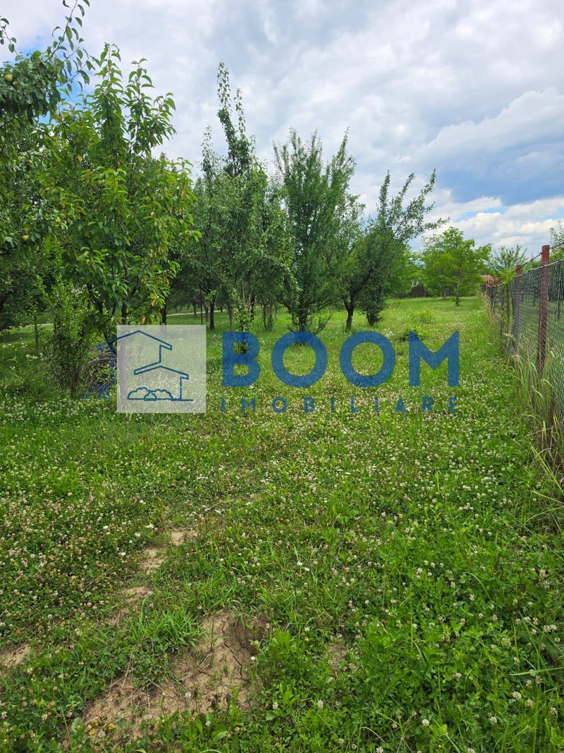 Casa Calimanesti | Teren 1700 mp | Centrala proprie - imaginea 8