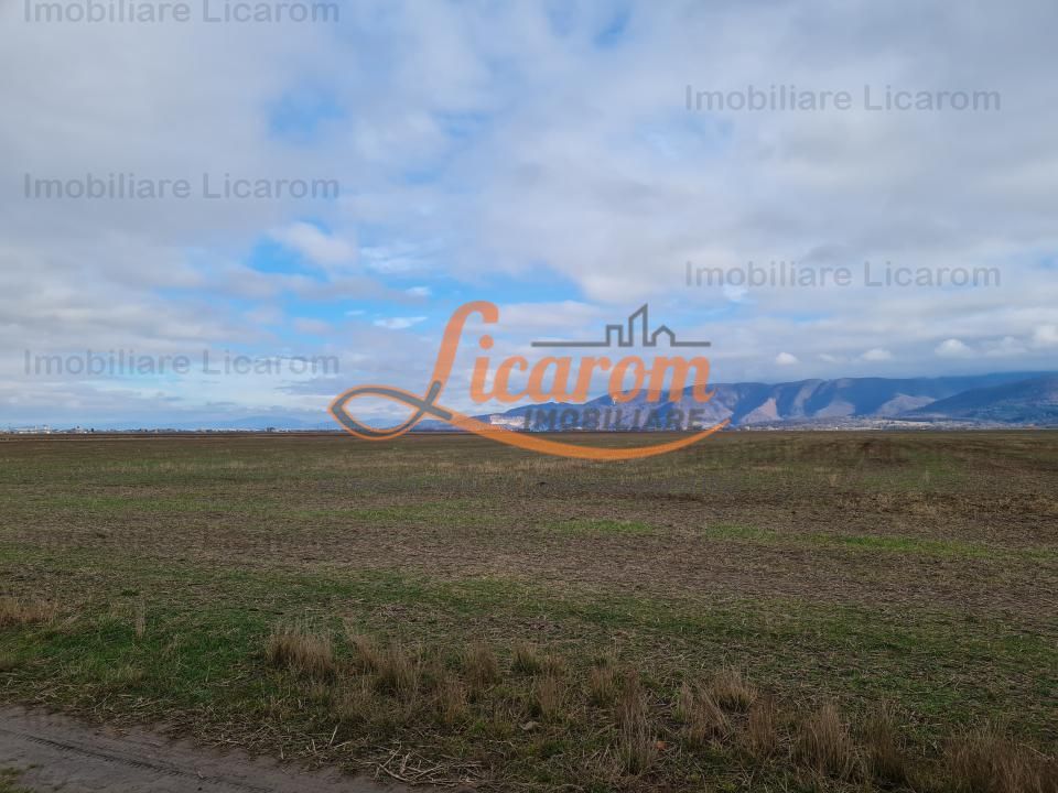 Teren extravilan 2,9 HA,intre Cristian si Vulcan - imaginea 5