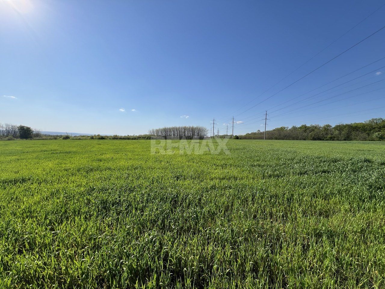 Teren agricol de 24 ari în Ghidighici – aproape de pădure, potrivit pentru investiție sau activitate agricolă
