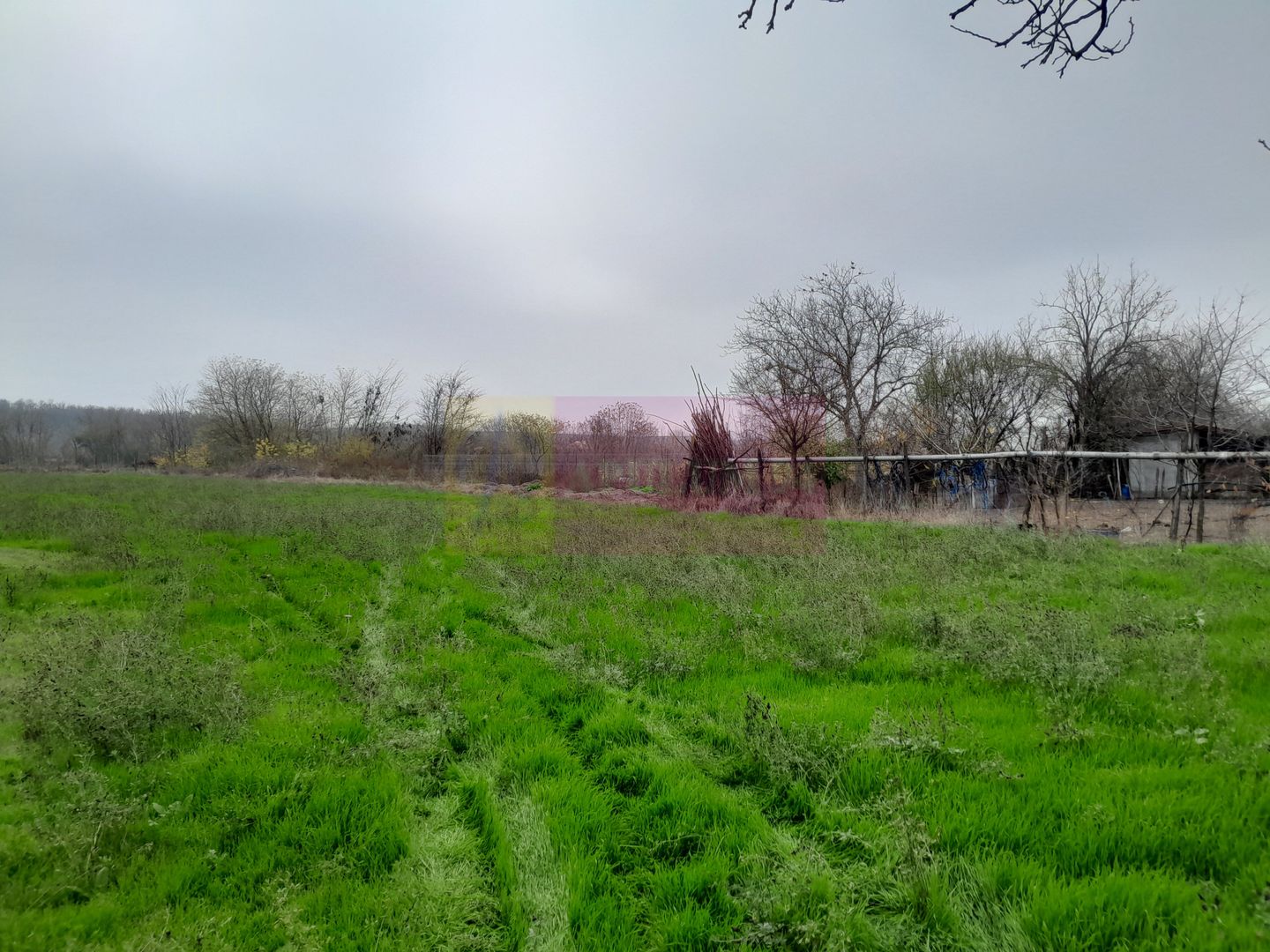 De vanzare casa +teren 16k mp in BARCANESTI / IL