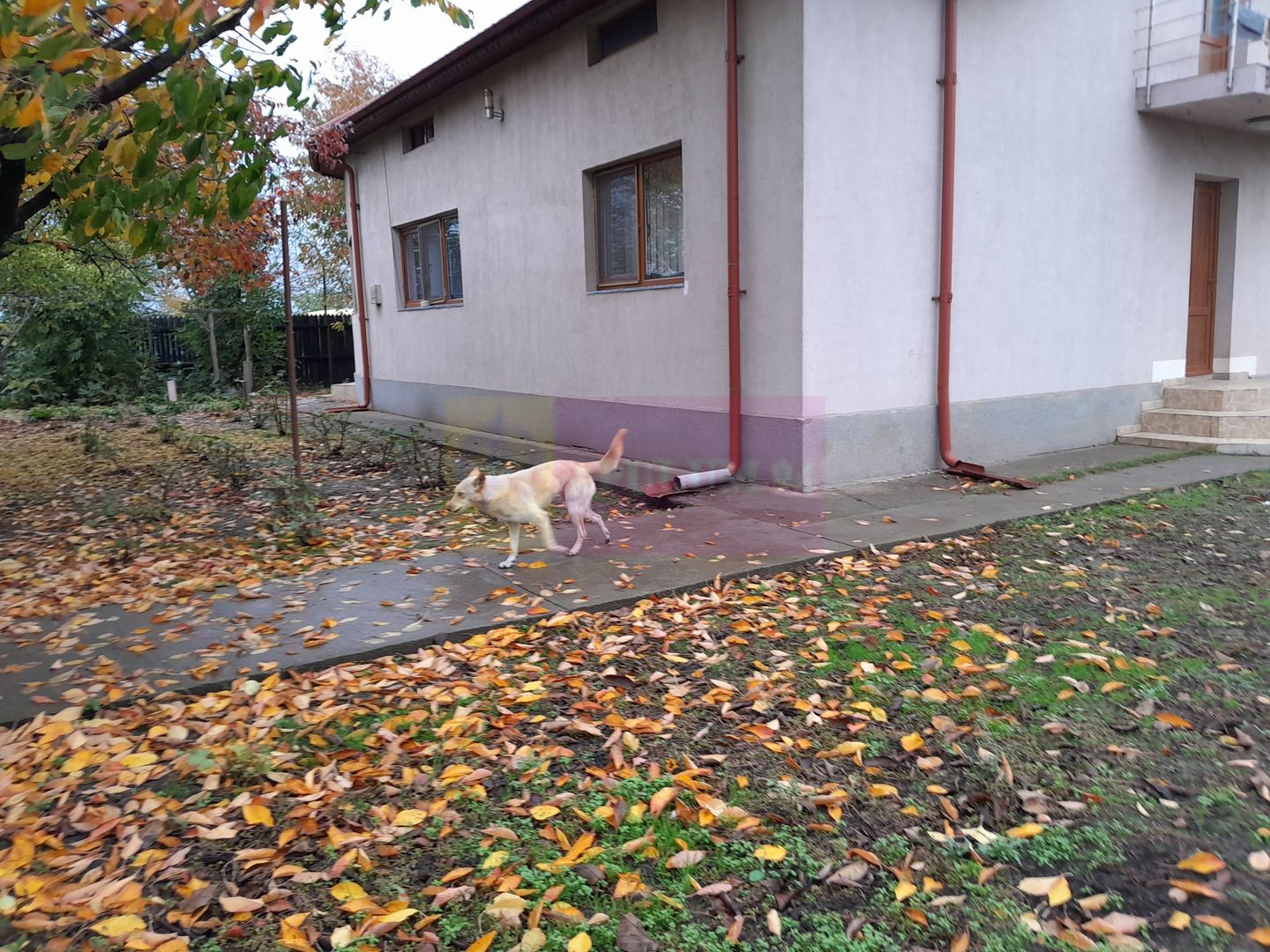 DE VANZARE CASA IN COM. BRANESTI (IF)
