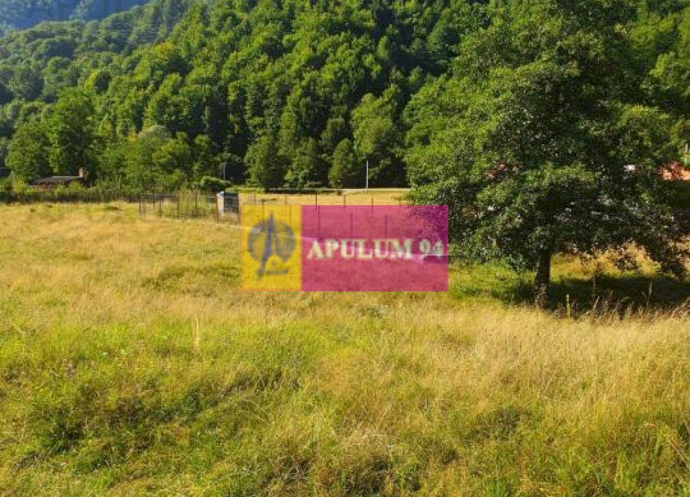 Teren Județul Vâlcea - Brezoi, Valea lui Stan