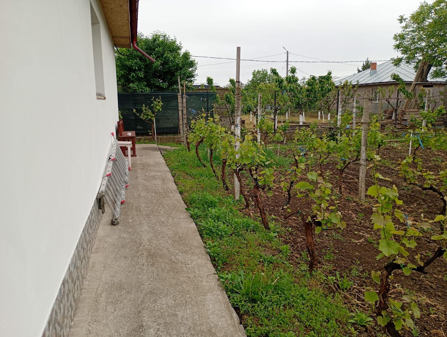Casă 3 camere, în Tulucești - imaginea 11