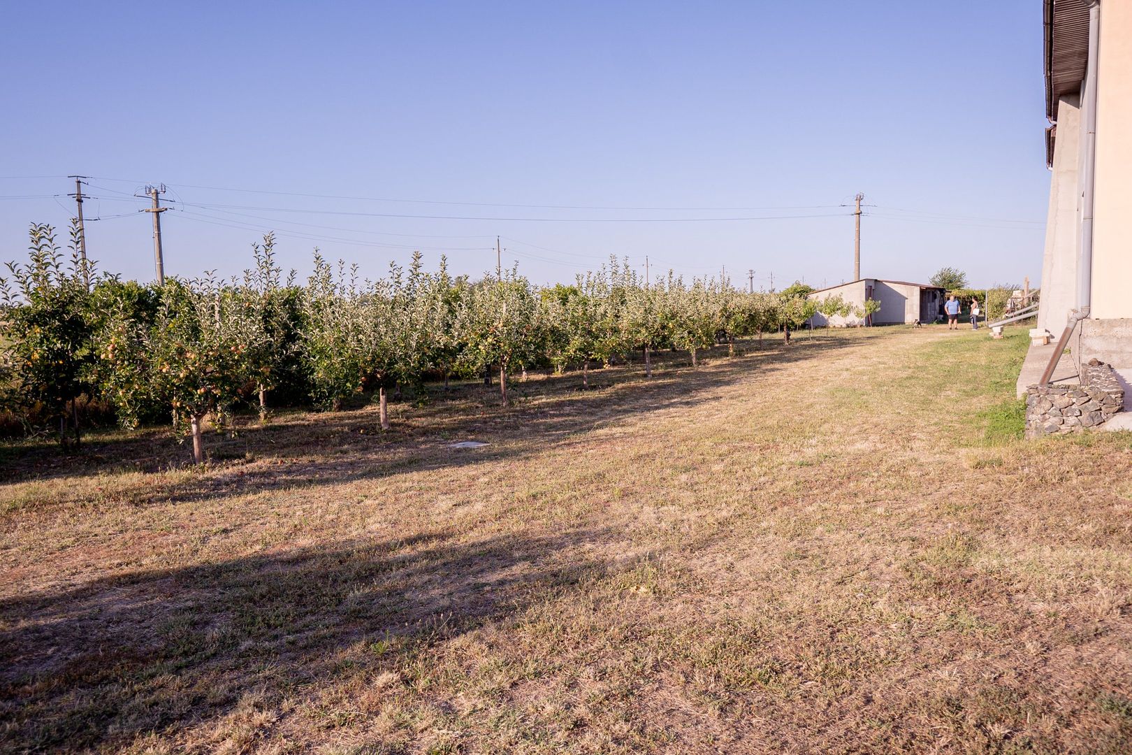 Casă de vânzare Furceni – 7 camere, teren 8.000 m - imaginea 17
