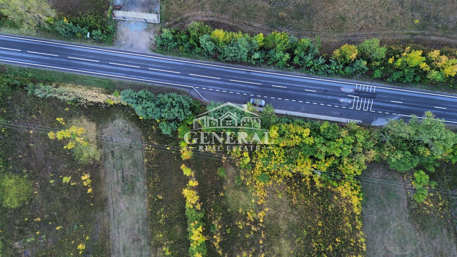 Teren de vanzare 4.000m2 in Cicarlau la Drum European E58 BM-SM KM-15 - imaginea 6
