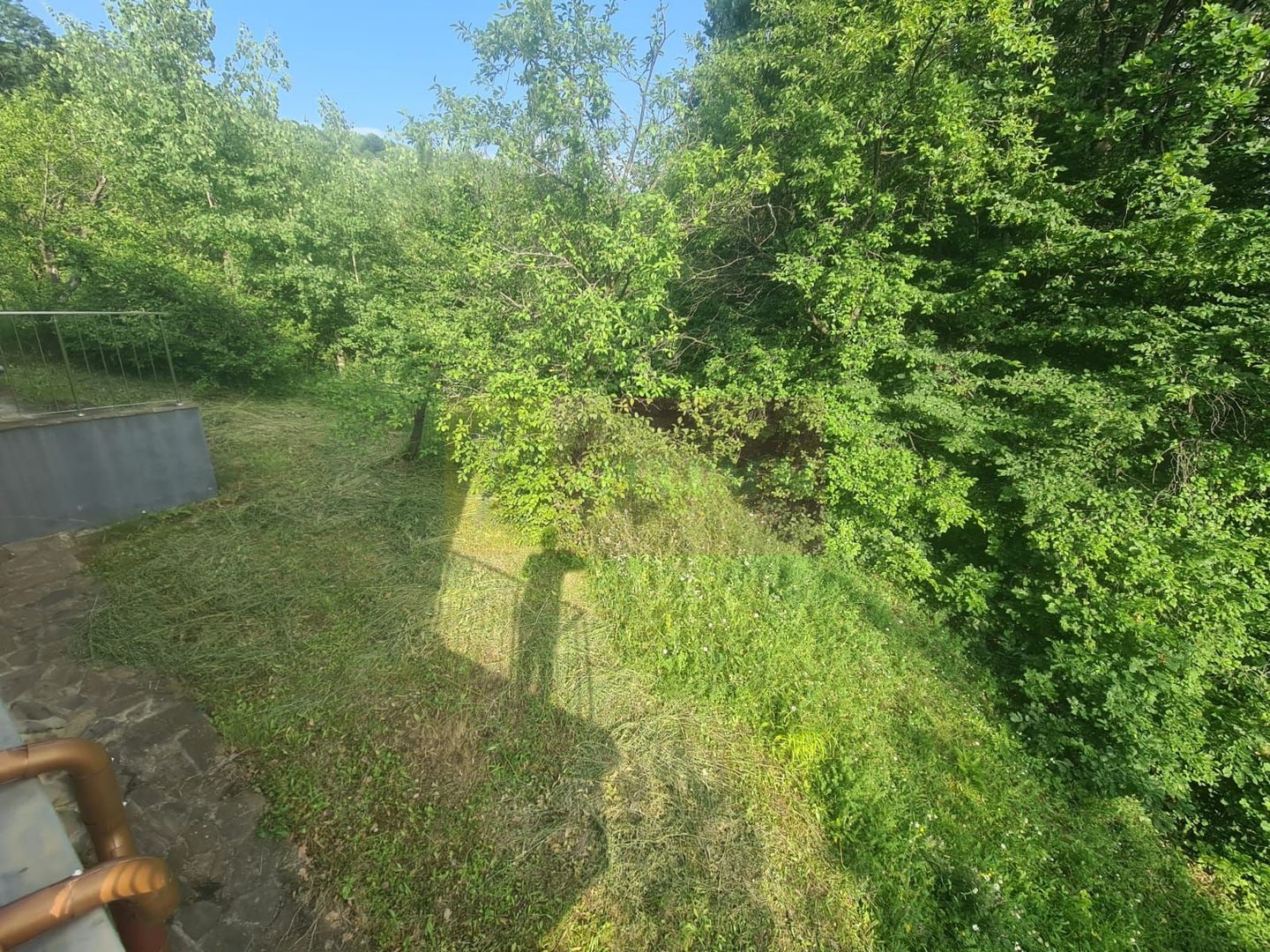 Vila de vanzare cu 6 camere in Cornu (teren 6.600 mp)