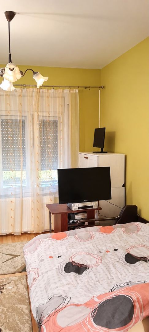 Casa individuala cu 5 camere in zona Dâmbovița din Timișoara - imaginea 6