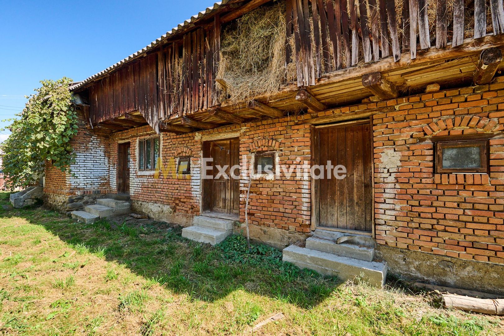 Casa cu teren de 1.200 mp si livada–Badesti, comuna Pietrosani, Arges - imaginea 5