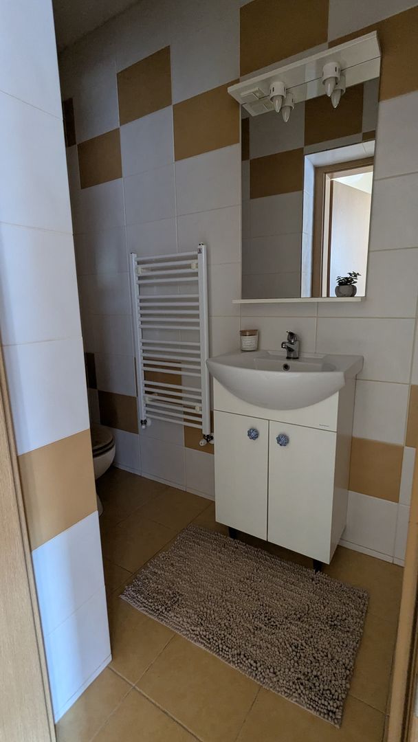 Penthouse, 100 mp utili, 50 mp terase - imaginea 3