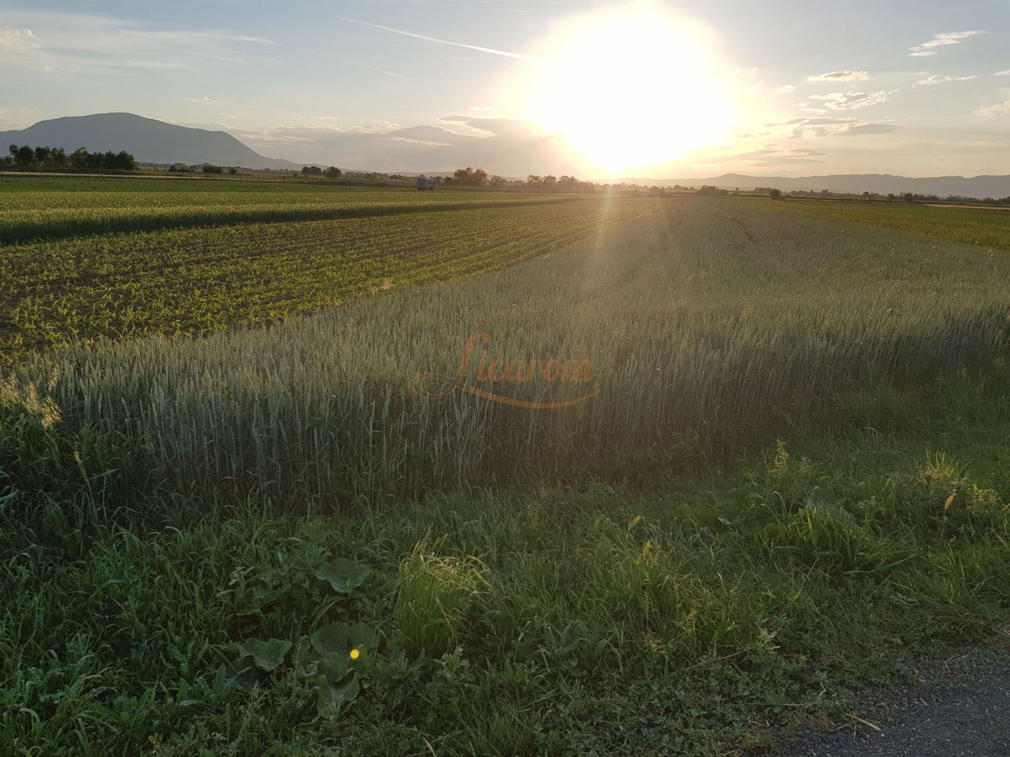 Teren intravilan Stupini front la Calea Feldioarei, DN 13 - imaginea 4