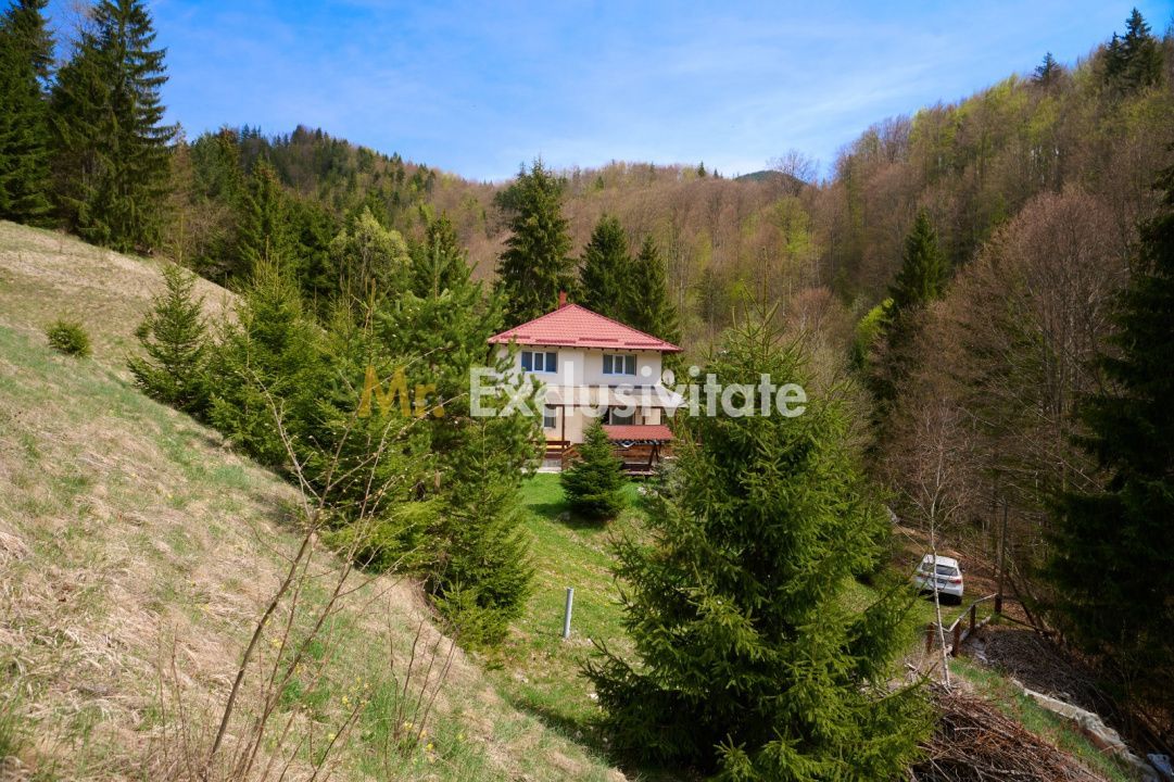 Casa de vacanta sau pensiune in Dâmbovicioara 5 camere, 5 bai, 6412 mp teren