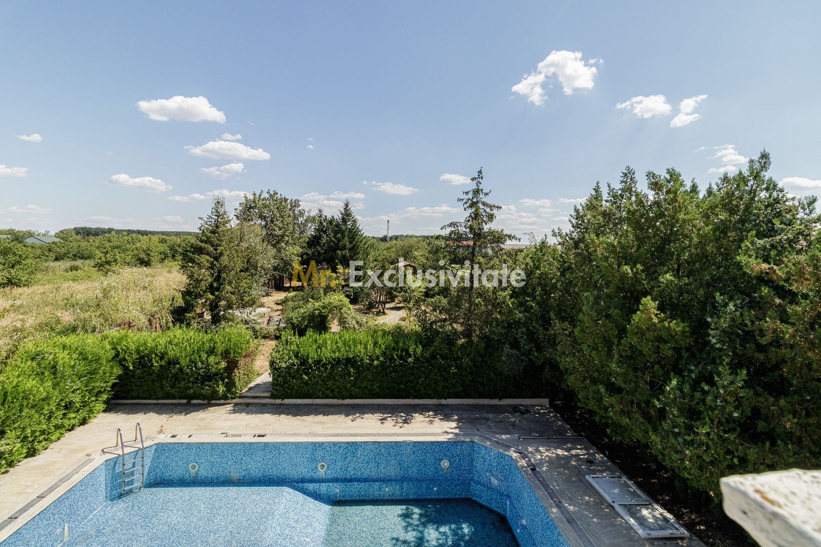 Domeniu privat 5.000 mp, cu reședință de 625 mp și piscină, Corbeanca - imaginea 35