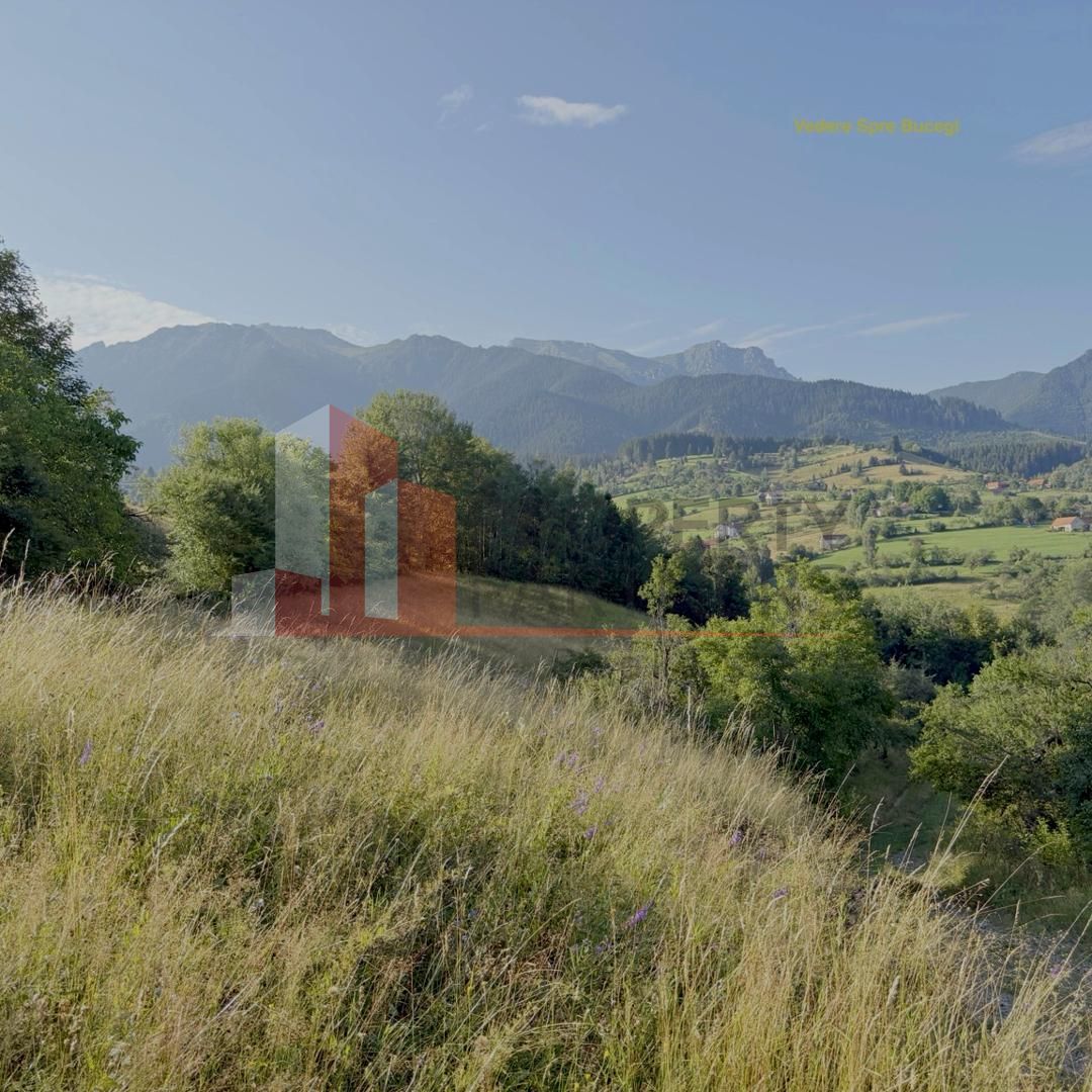 Teren Sohodol 10.398 mp  cu vedere panoramica - imaginea 5