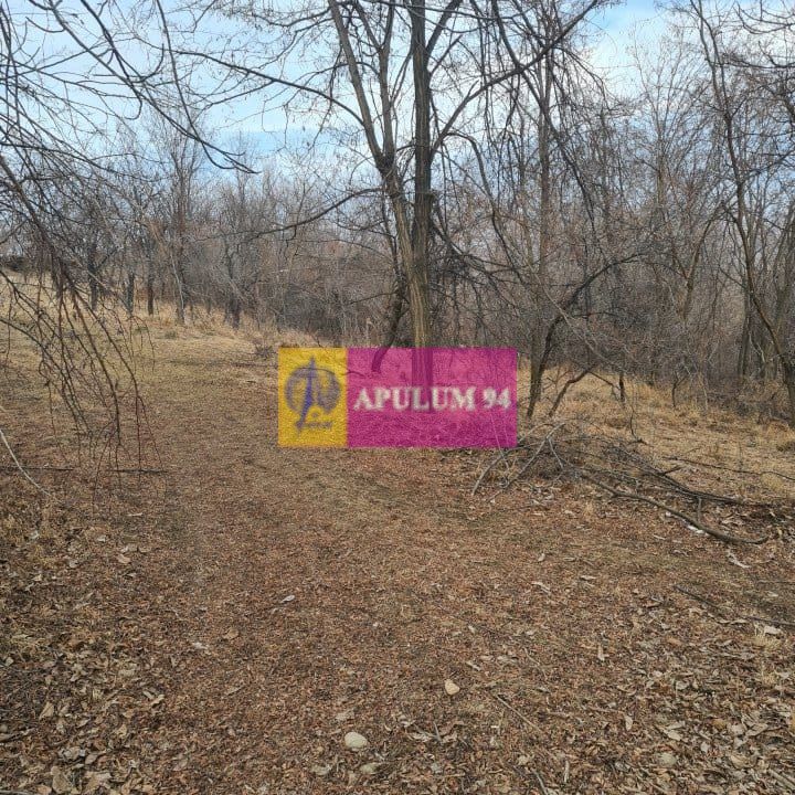 Teren intravilan de vanzare in Cornu de Jos
