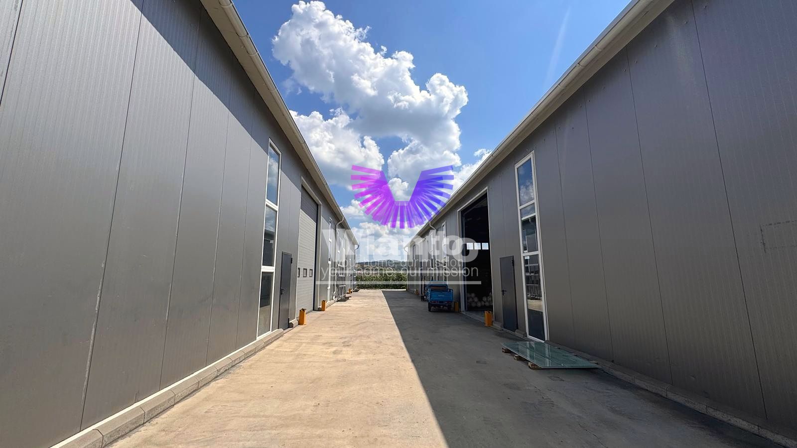 Hala industriala 600 mp si curte libera 700 mp, - Parcul Industrial Sura Mare