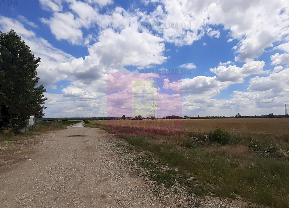 Teren 715mp în Snagov lângă Equestria - imaginea 22