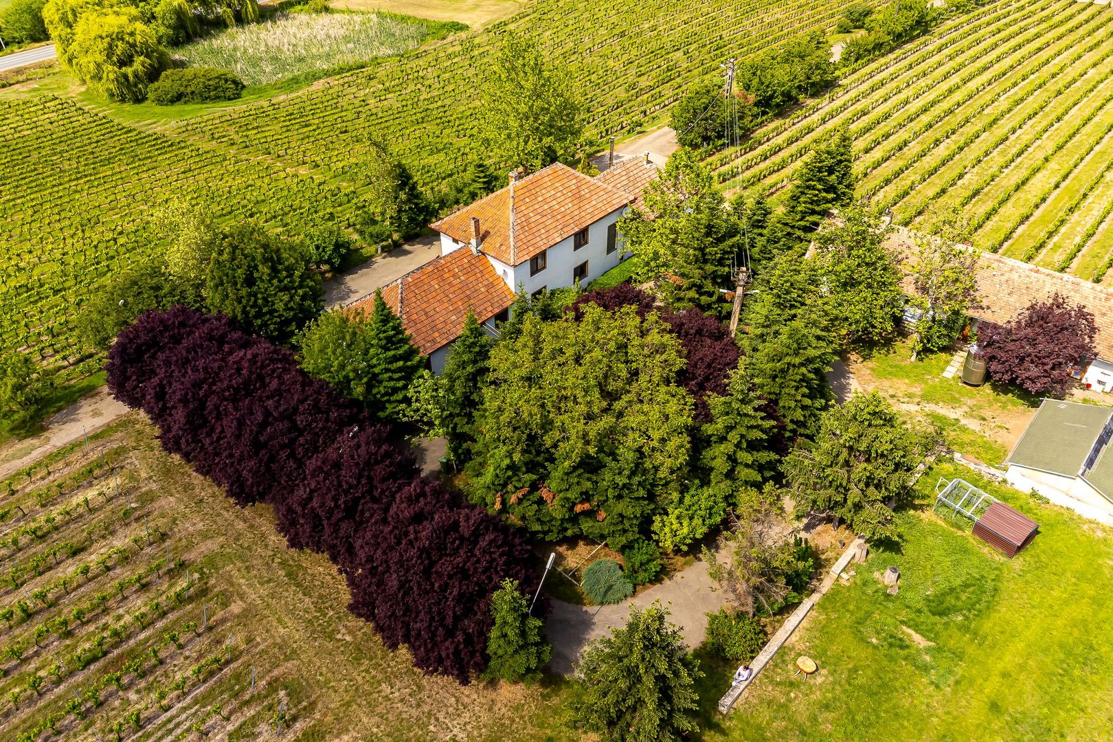 Domeniul Hellburg– 16,27 ha vie + 1,4 ha intravilan