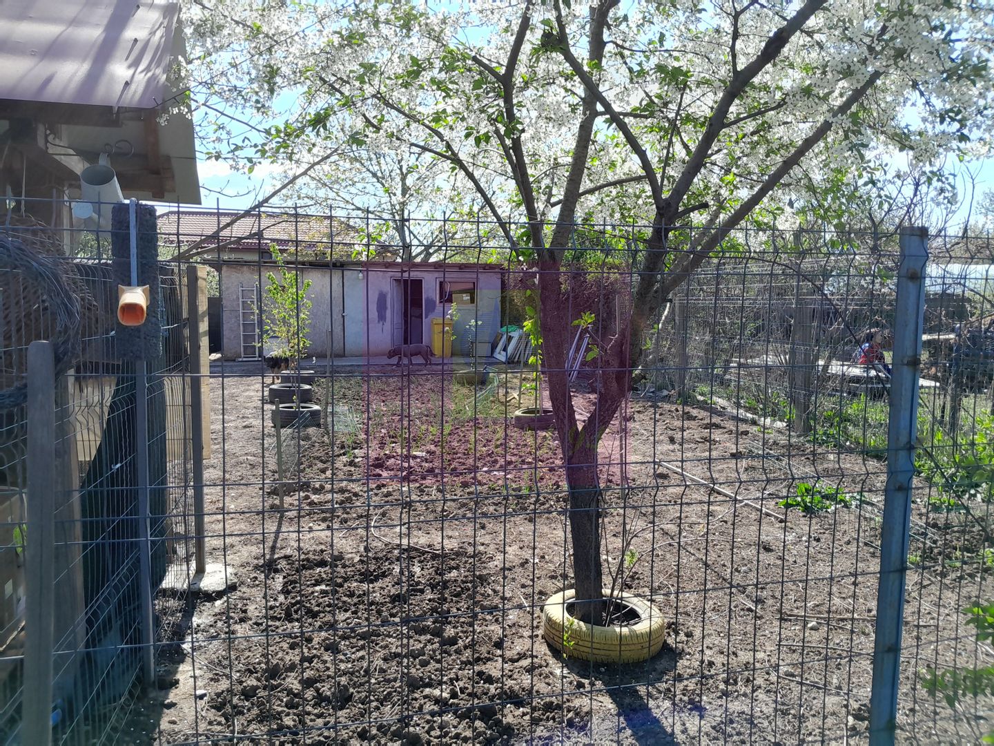 GIURGIU - SE VINDE CASA P+M 5 CAM - imaginea 34