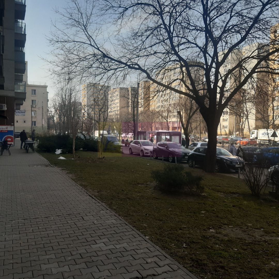 Spatiu Comercial Stradal Șoseaua Colentina zona Teiul Doamnei Suveica