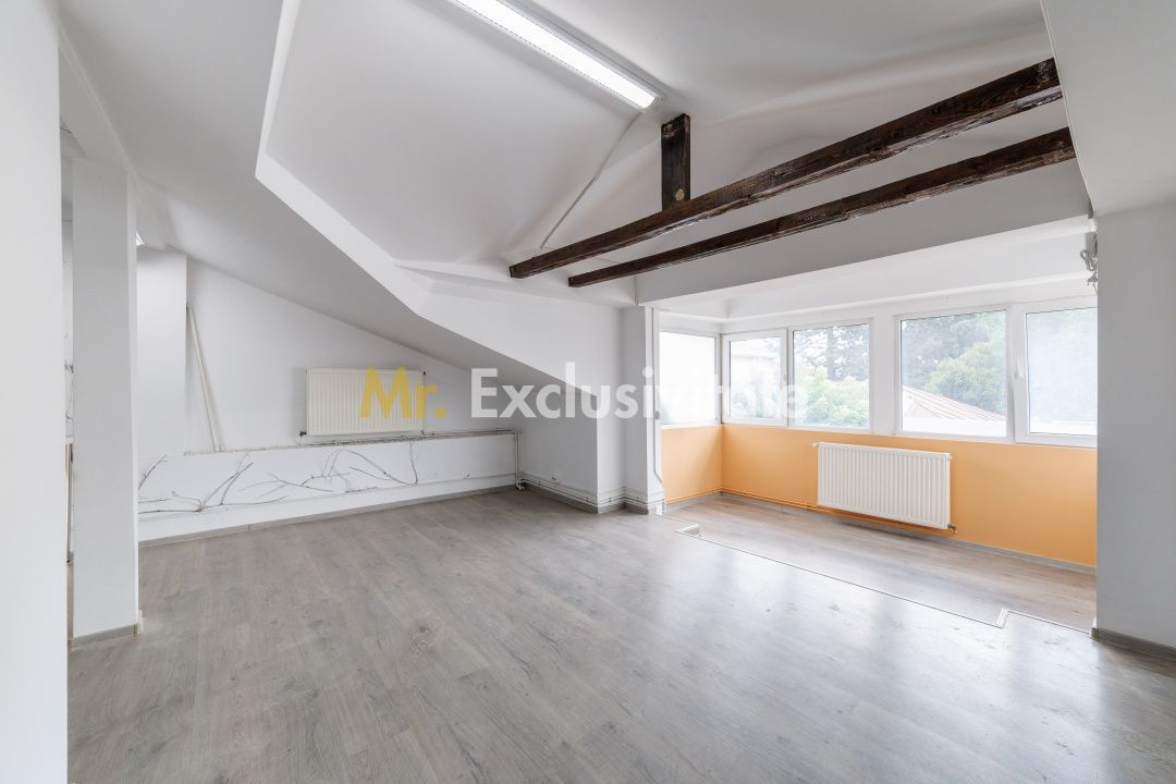 Spatiu Comercial - Ultracentral - Armand Calinescu, Pitesti! - imaginea 4
