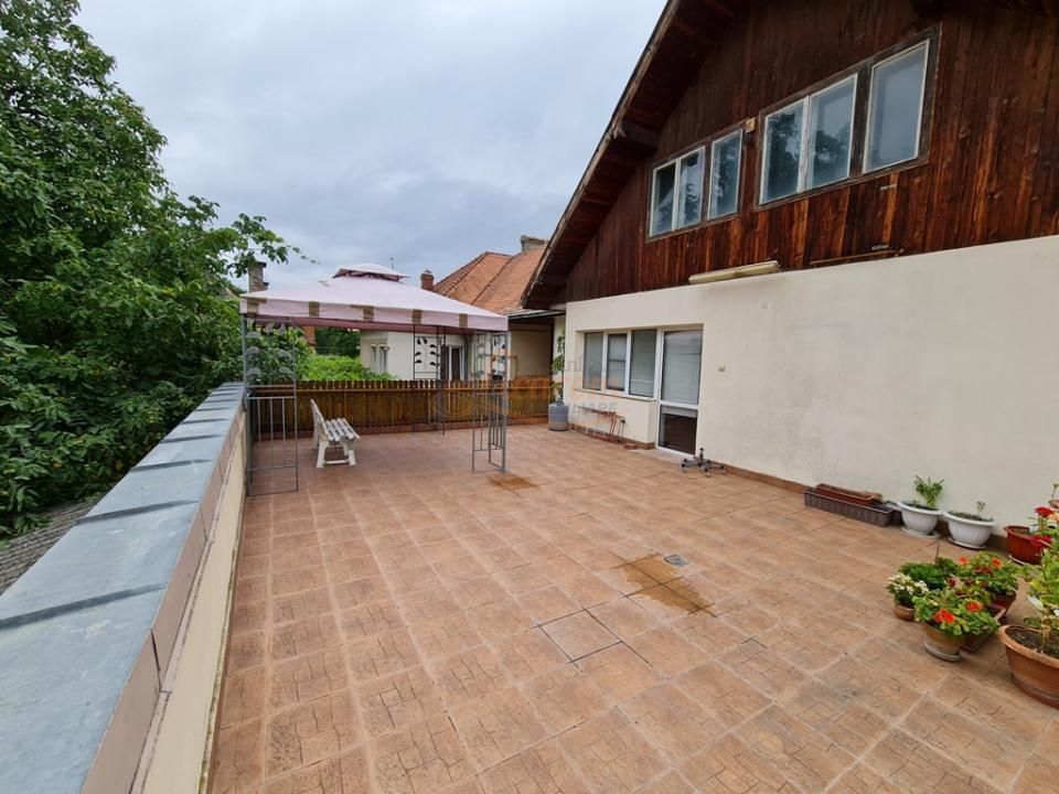 Proprietate individuala-3 apartamente,spatiu comercial,garaje,gradina,curte - imaginea 3