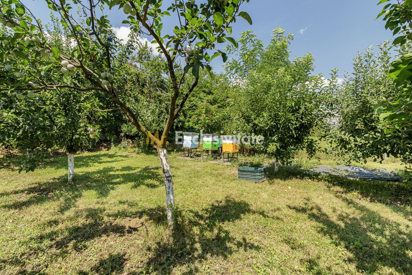Casă de vânzare Tâncăbești cu grădină, aproape de lac - imaginea 27