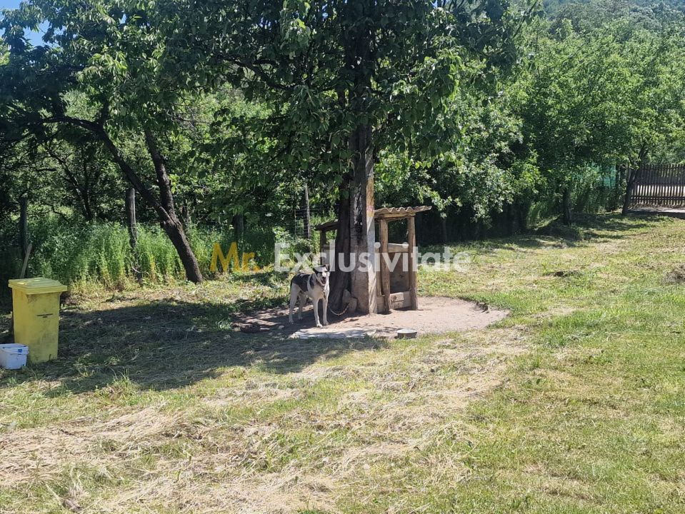 Proprietate în Comuna Botești, Județul Argeș – Zonă Pitorească și Liniștită ! - imaginea 20