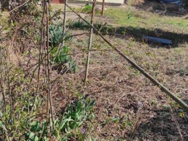 Giulesti teren suprafata 377 mp