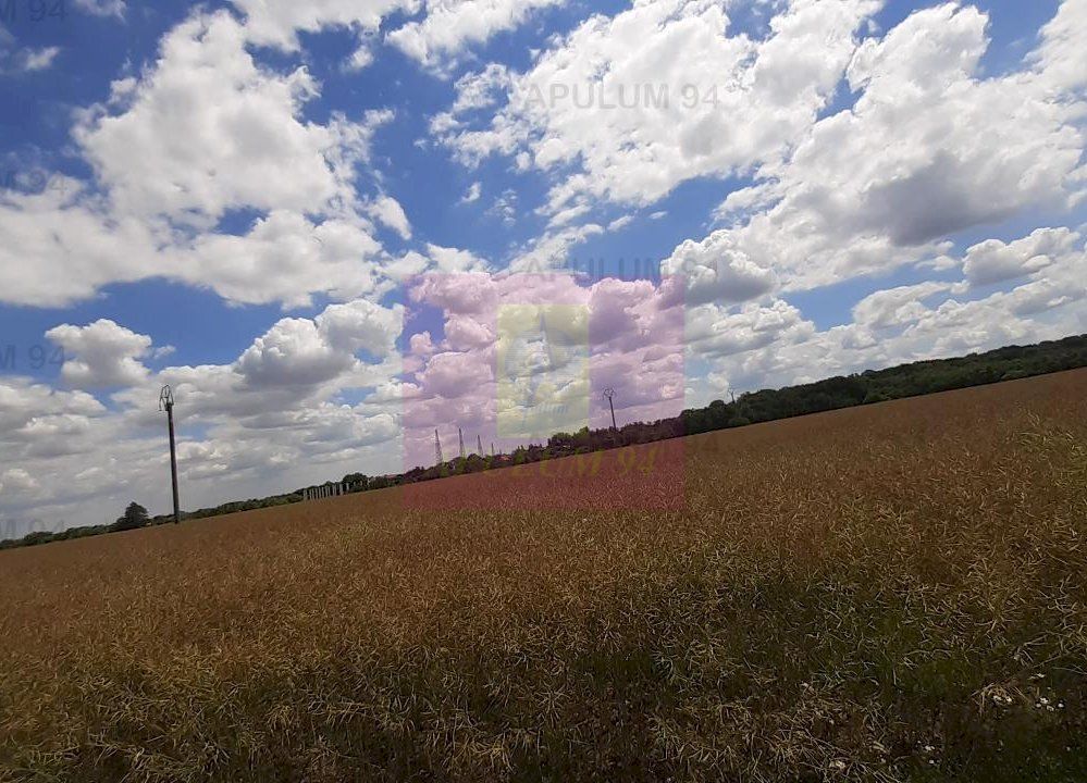 Teren 715mp în Snagov lângă Equestria - imaginea 55