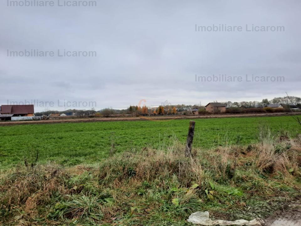 Teren intravilan Stupini ,Central, 823mp,Utilitati,83000 eur - imaginea 8