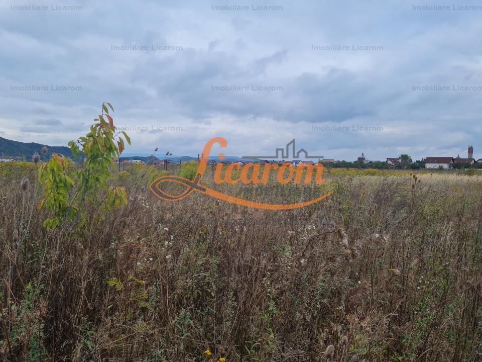 De vanzare teren  502 mp Harman Aleea 14 pret 40000 euro - imaginea 3