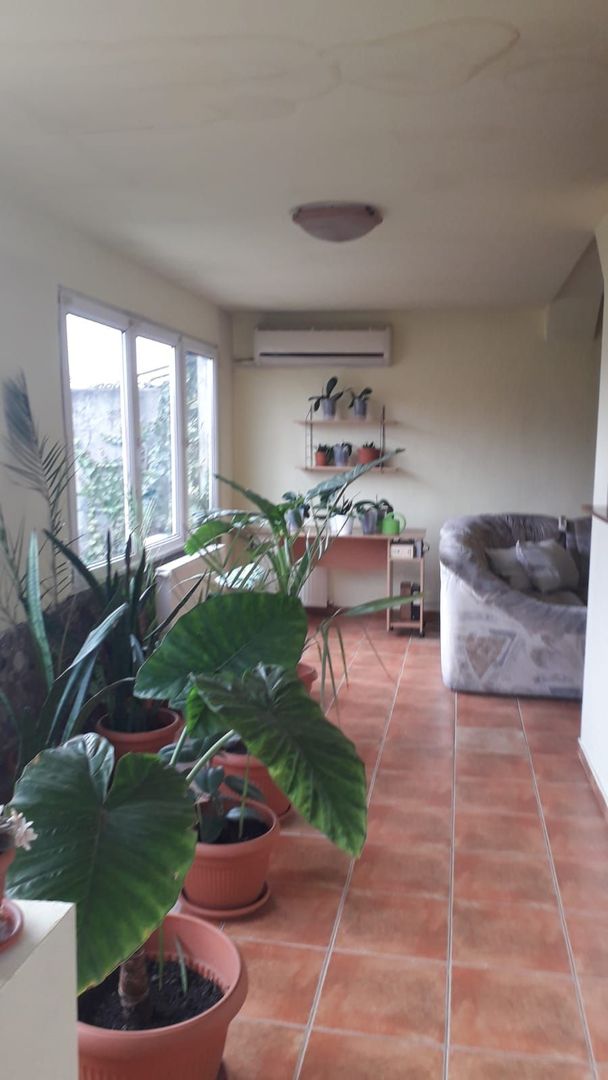 Casă individala cu etaj, având 2 apartamente separate în Timișoara - imaginea 6