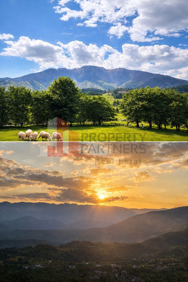 Teren cu priveliște spectaculoasă în Bran – Sohodol - imaginea 5