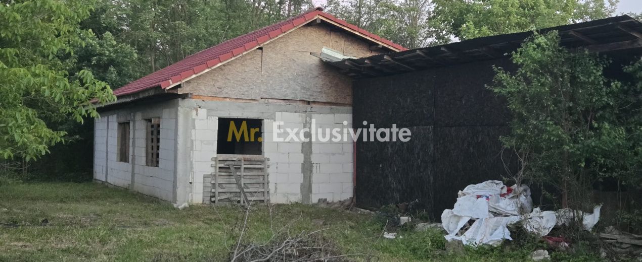 Casă cu 7.769 mp teren și pădure | Budieni | 53.000€ - imaginea 10