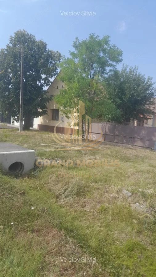 Casă individuală Dudeștii Noi | 2.526 mp teren | Pivniță - imaginea 8