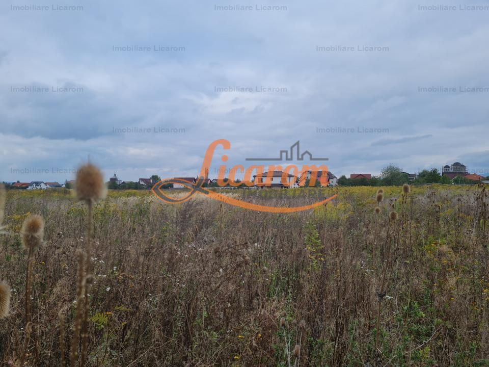 De vanzare teren  502 mp Harman Aleea 14 pret 40000 euro